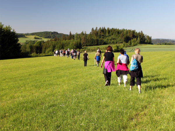 Genießen Sie ein Stück Natur- den Märchenwald.