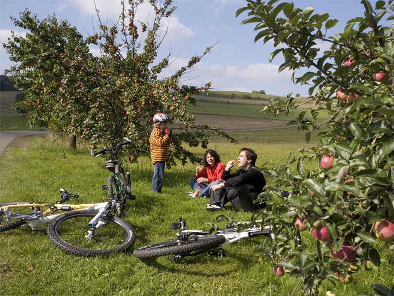 Fahrrad, Familie, Apfelbaum, Pause, Entspannung, Bad Steben, Ausflug, Arrangement, Pauschale