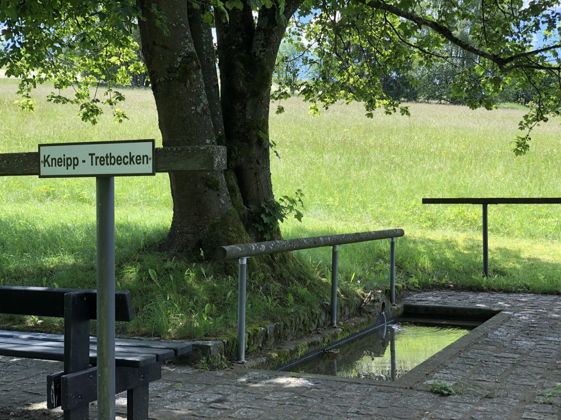 Kneippbecken im grünen an der alten Übungswiese in Bad Steben 