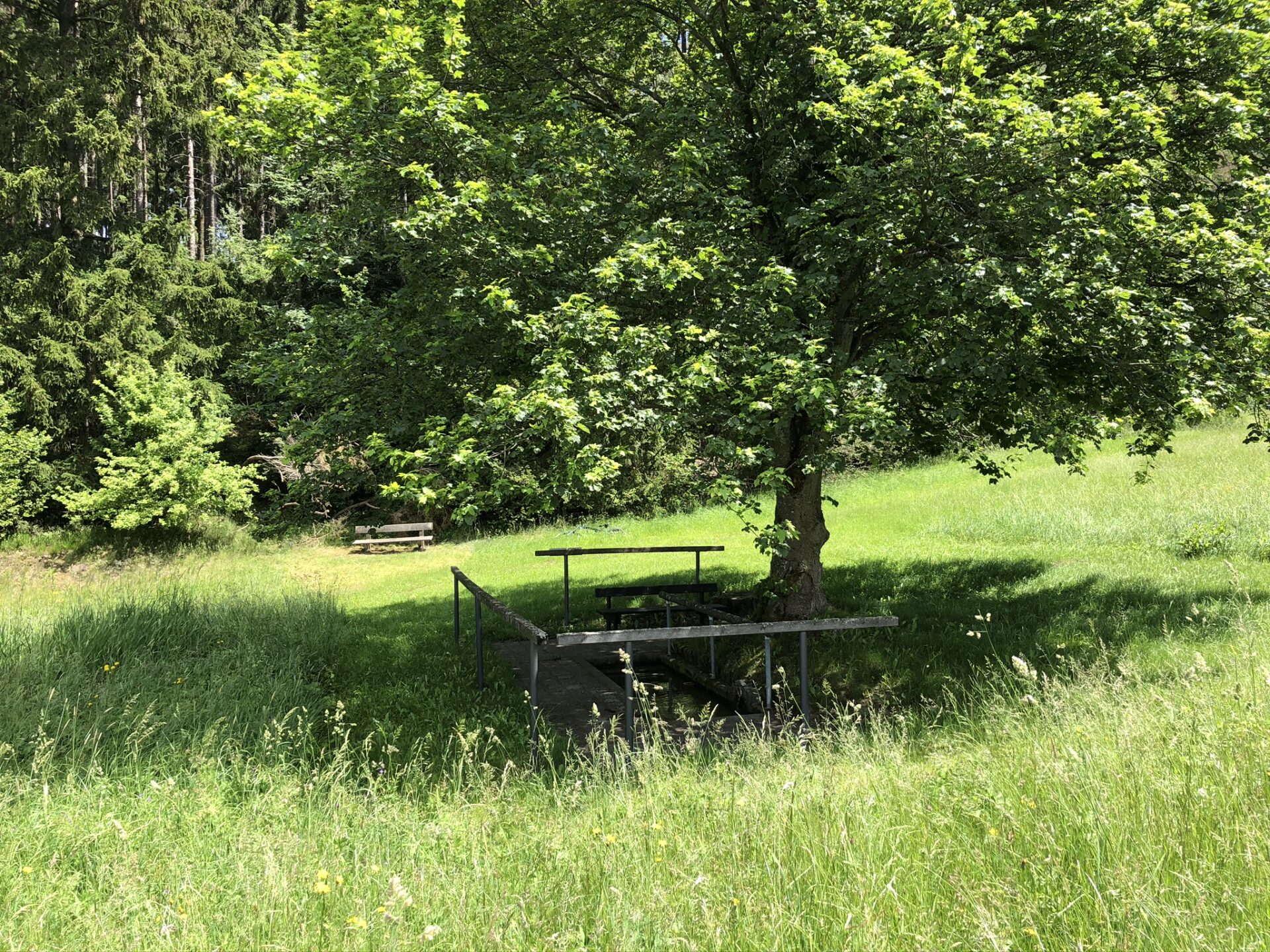 Kneippbecken an der alten Sprungschanze Bad steben 