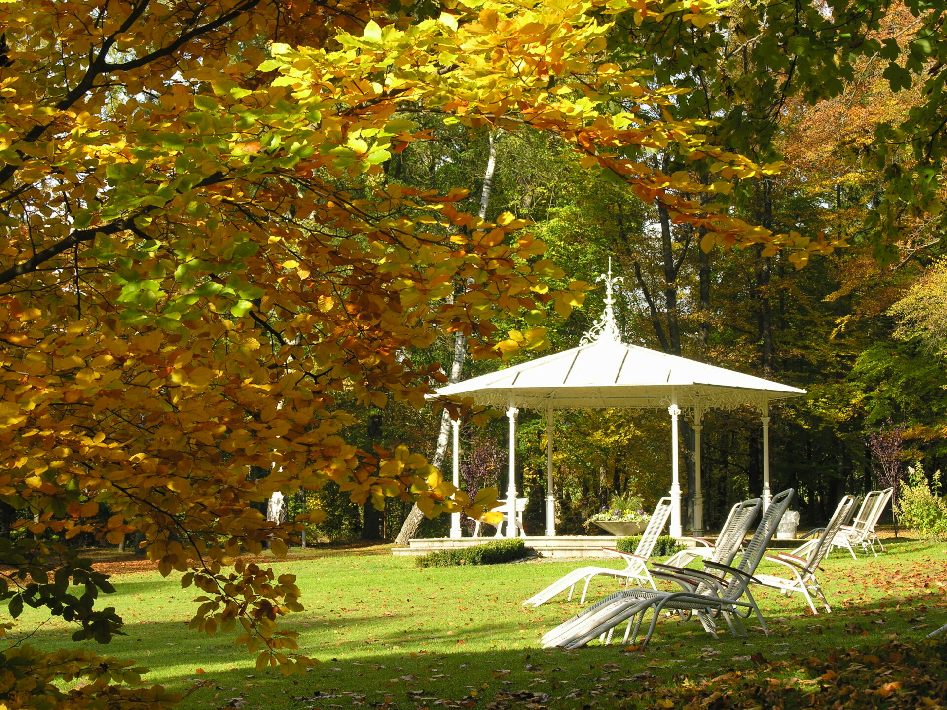 Arrangement Bad Steben, Therme, Naturmoor, Gesunde Auszeit