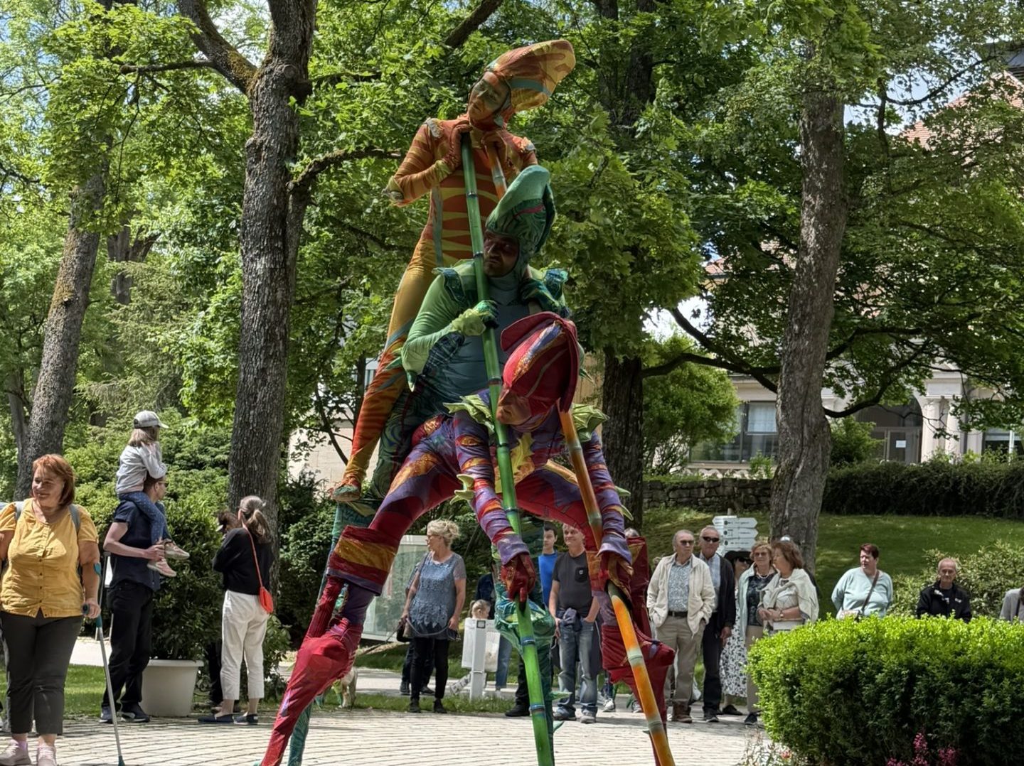 Zebra Stelzentheater Kurparkfest Bad Steben