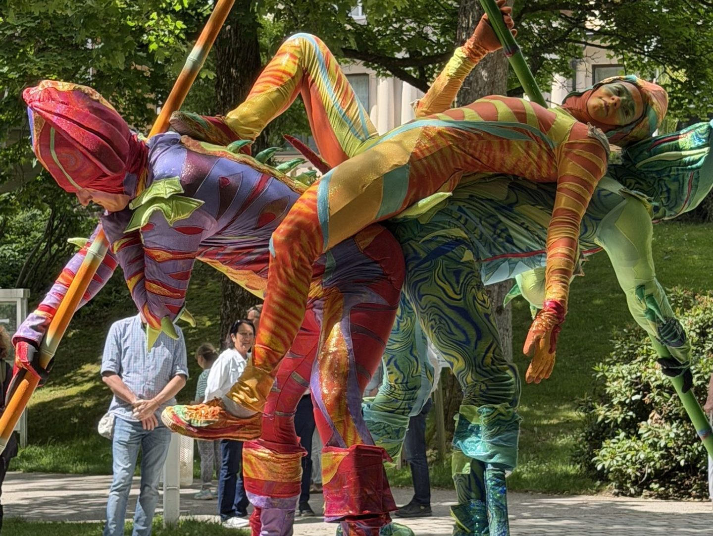 Zebra Stelzentheater Kurparkfest Bad Steben
